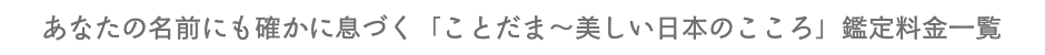 大阪名前のことだま鑑定ことだま師丸田みどり鑑定料金一覧